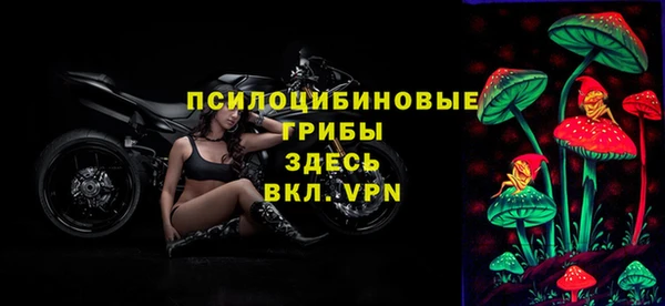 прущий лед Дмитров