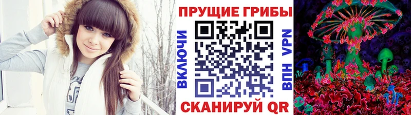 Купить  Артёмовск  Галлюциногенные грибы Cubensis 